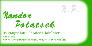 nandor polatsek business card
